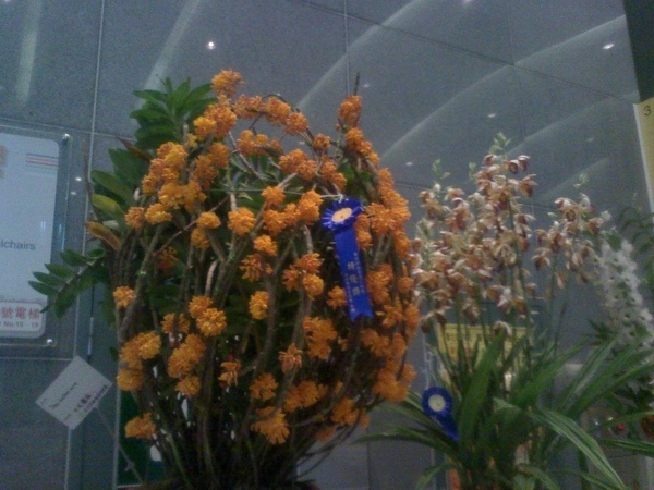 20090414092615.jpg