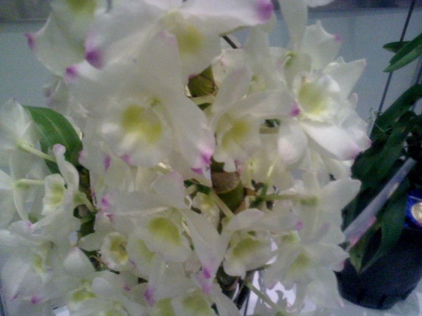 20090414092637.jpg