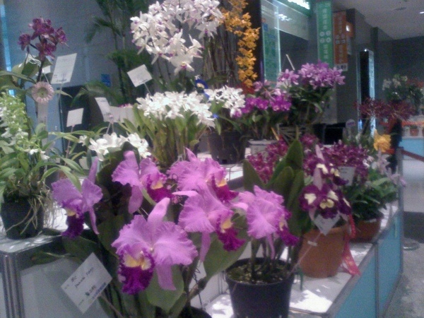 20090414092708.jpg
