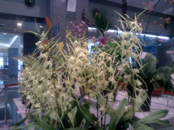 20090414092733.jpg