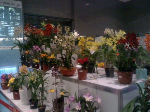 20090414092804.jpg