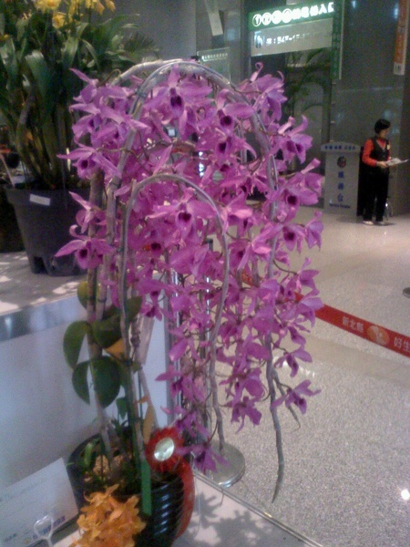 20090414092824.jpg