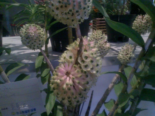 20090414092910.jpg