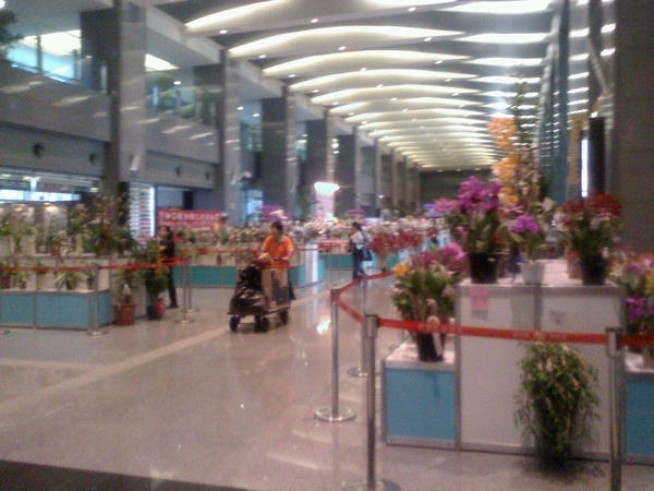 20090414093109.jpg