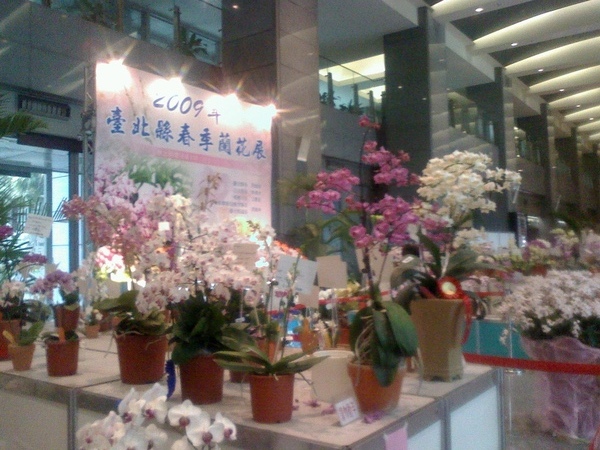 20090414092229.jpg