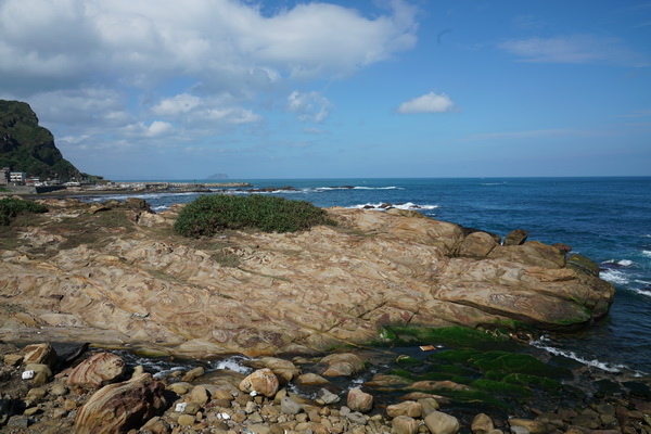 DSC05824 DSC05824