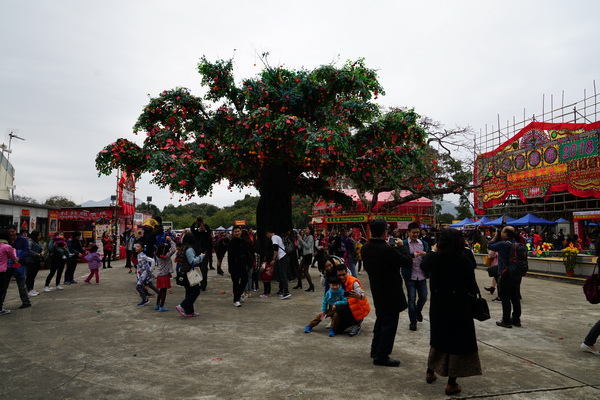 DSC07859 DSC07859