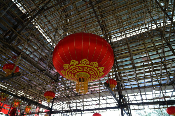 DSC07865 DSC07865