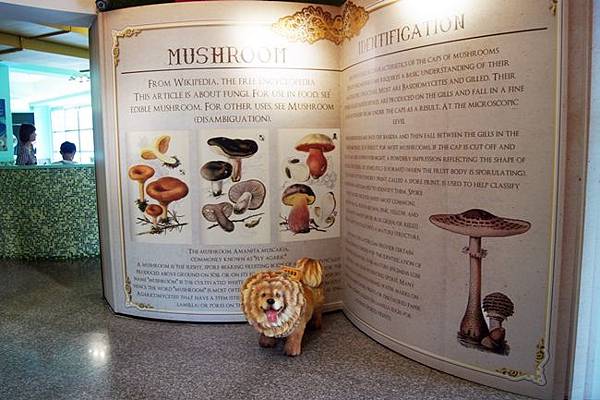 埔里元首館KING GARDEN - 大黑松小倆口