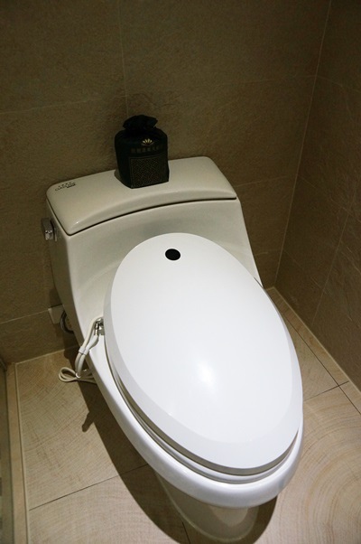 日月潭住宿馥麗溫泉大飯店五星級初體驗 (32).JPG 日月潭住宿馥麗溫泉大飯店五星級初體驗 (32).JPG