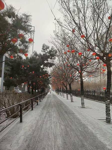 WeChat 圖片_20220122225426.jpg