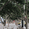 IMG_3290.JPG