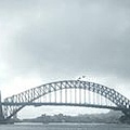 IMG_3347.jpg
