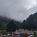 IMAG7768.jpg