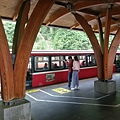 IMAG7774.jpg