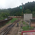 IMAG7784.jpg