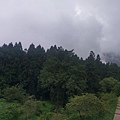 IMAG7787.jpg