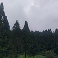 IMAG7788.jpg