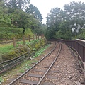 IMAG7785.jpg