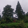 IMAG7789.jpg