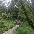 IMAG7791.jpg