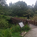 IMAG7792.jpg