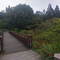 IMAG7793.jpg