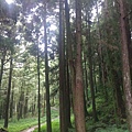 IMAG7795.jpg