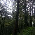 IMAG7800.jpg