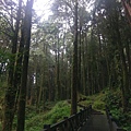 IMAG7804.jpg