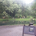 IMAG7812.jpg