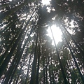 IMAG7823.jpg