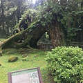 IMAG7821.jpg