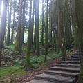 IMAG7824.jpg