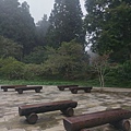 IMAG7826.jpg