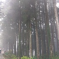 IMAG7828.jpg