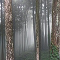 IMAG7830.jpg