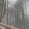 IMAG7832.jpg