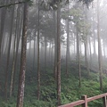 IMAG7833.jpg