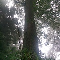 IMAG7841.jpg