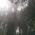 IMAG7843.jpg