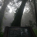 IMAG7851.jpg
