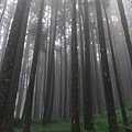 IMAG7852.jpg