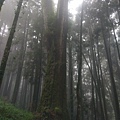 IMAG7853.jpg