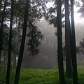 IMAG7855.jpg