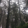 IMAG7856.jpg