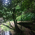 IMAG7861.jpg