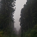 IMAG7859.jpg