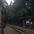 IMAG7860.jpg