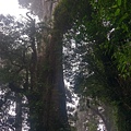 IMAG7863.jpg